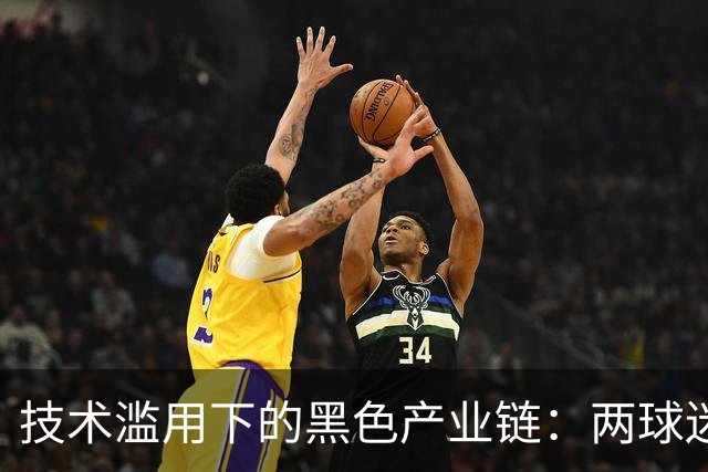 技术滥用下的黑色产业链：两球迷非法抢票获刑记